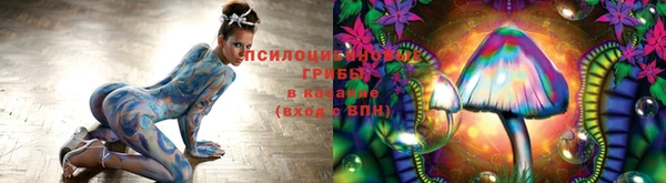 альфа пвп Елизово