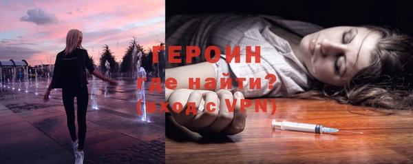 прущие грибы Дмитровск
