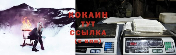 прущие грибы Дмитровск