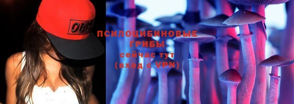 альфа пвп Елизово