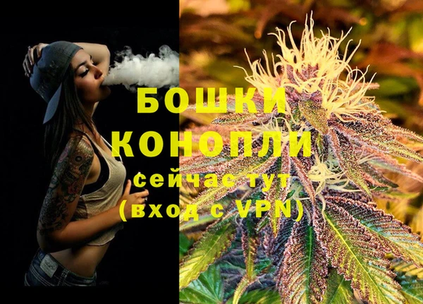 прущие грибы Дмитровск