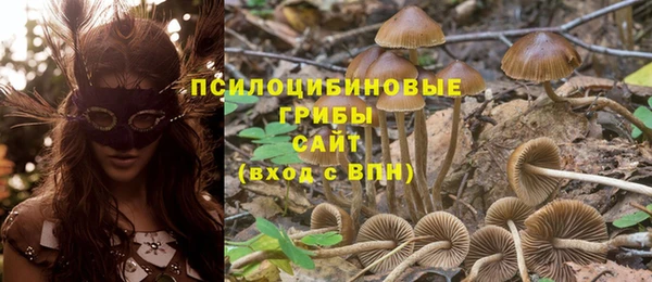 экстази Дмитриев