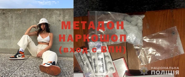 прущие грибы Дмитровск