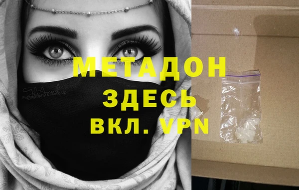 прущие грибы Дмитровск