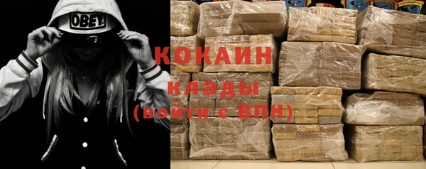 стафф Дмитров
