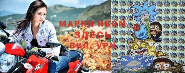 стафф Дмитров